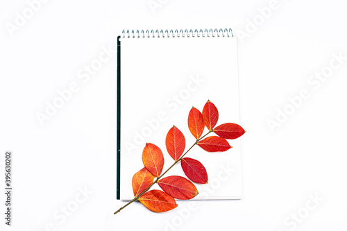 One branch with red leaves and note book on white background. Minimal autumn flat lay  top view background.