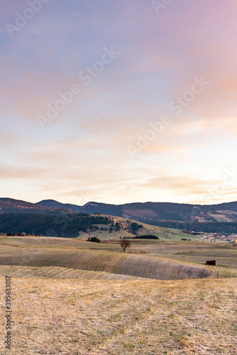 altopiano di asiago, sunire time in camporovere photo