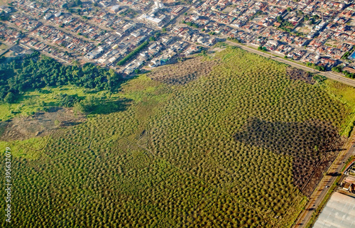 Aerial view of Murundum field, typical Cerrado formation  at Boca da Mata Park, created  to preserve the source of the stream Wansbeck and its riparian forest remaining. Taguatinga .DF, Brazil. photo