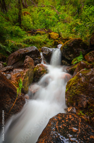 Scenic waterfall in the mysterious woodland, scenic nature of Scotland photo