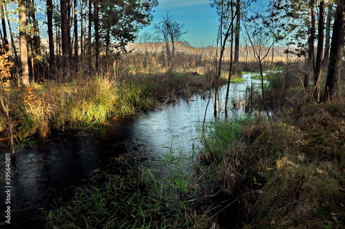 Rzeczka bobrów 