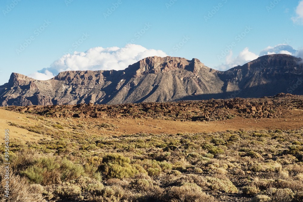 View of the Arena from the Teide volcano at an altitude of 2300 meters in the Teide National Park on the Canary Island of Tenerife. Wide angle picture, blue sky and a little white clouds.In front of t