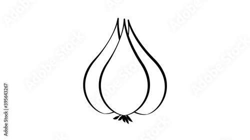 garlic on a white background, vector illustration. garlic for seasoning food, hot sauce, mouth-watering and aromatic flavor to food. addition to soup. natural product