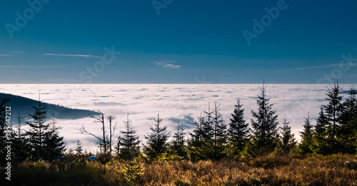 View from mountain range to the valley above fog and clouds  high altitude landscape sun blue sky clouds  spruce trees  sunlight daylight. Jeseniky mountains Czech Republic.  .