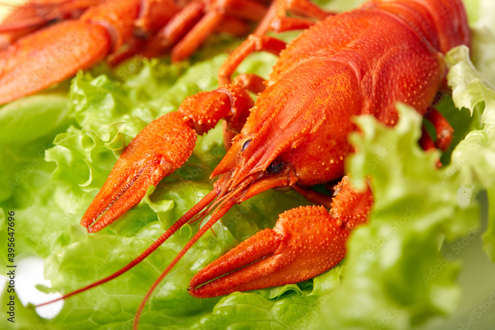 Close-up of boiled crayfish on a lettuce leaf Close-up of boiled crayfish on a lettuce leaf