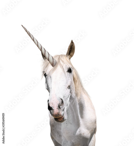 Amazing unicorn with beautiful mane on white background