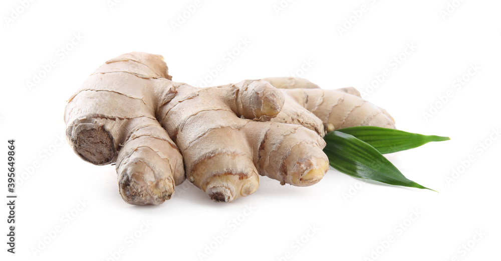 Whole fresh ginger with leaves isolated on white background Whole fresh ginger with leaves isolated on white background