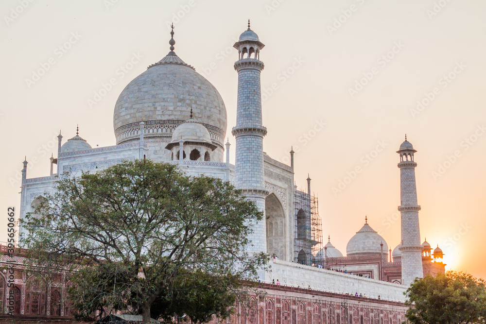Obraz premium Taj Mahal in Agra during sunset, India
