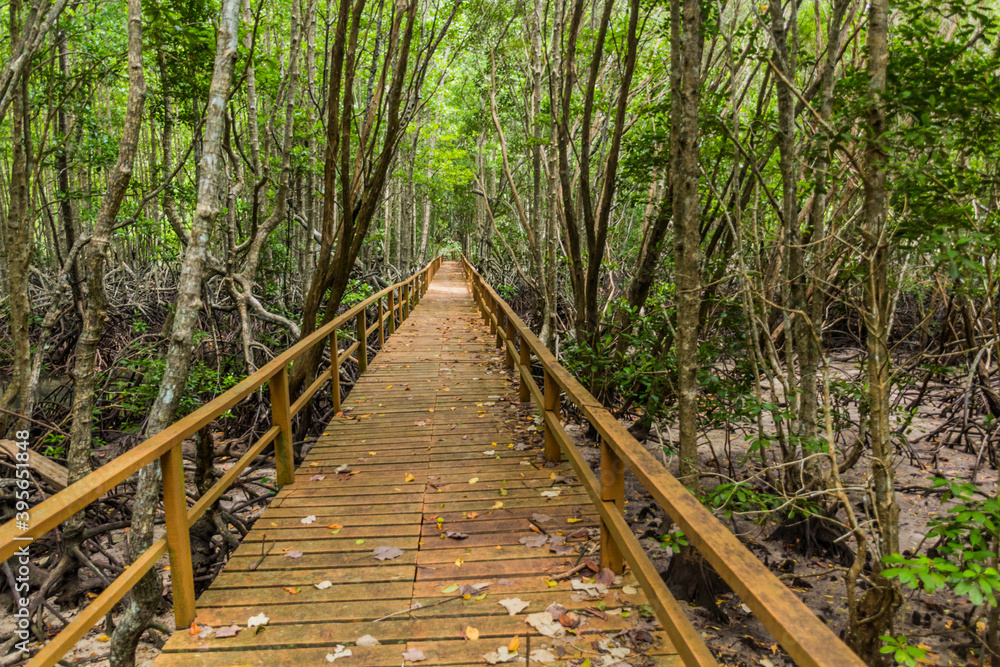Obraz premium Boardwalk through mangroves at Gaya Island in Tunku Abdul Rahman National Park, Sabah, Malaysia
