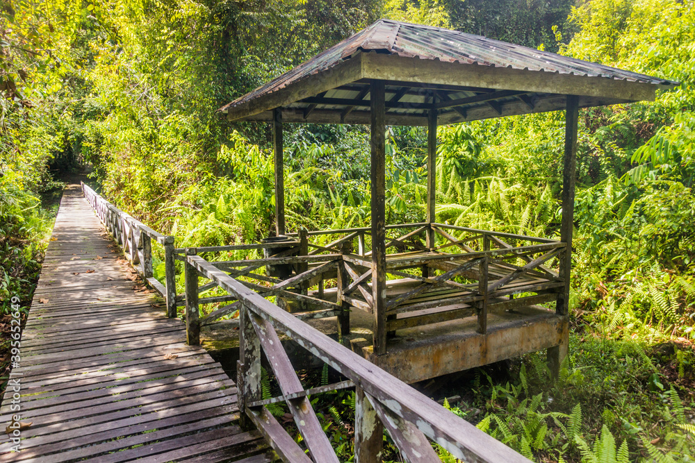 Boardwalk in Niah national park on Borneo island, Malaysia