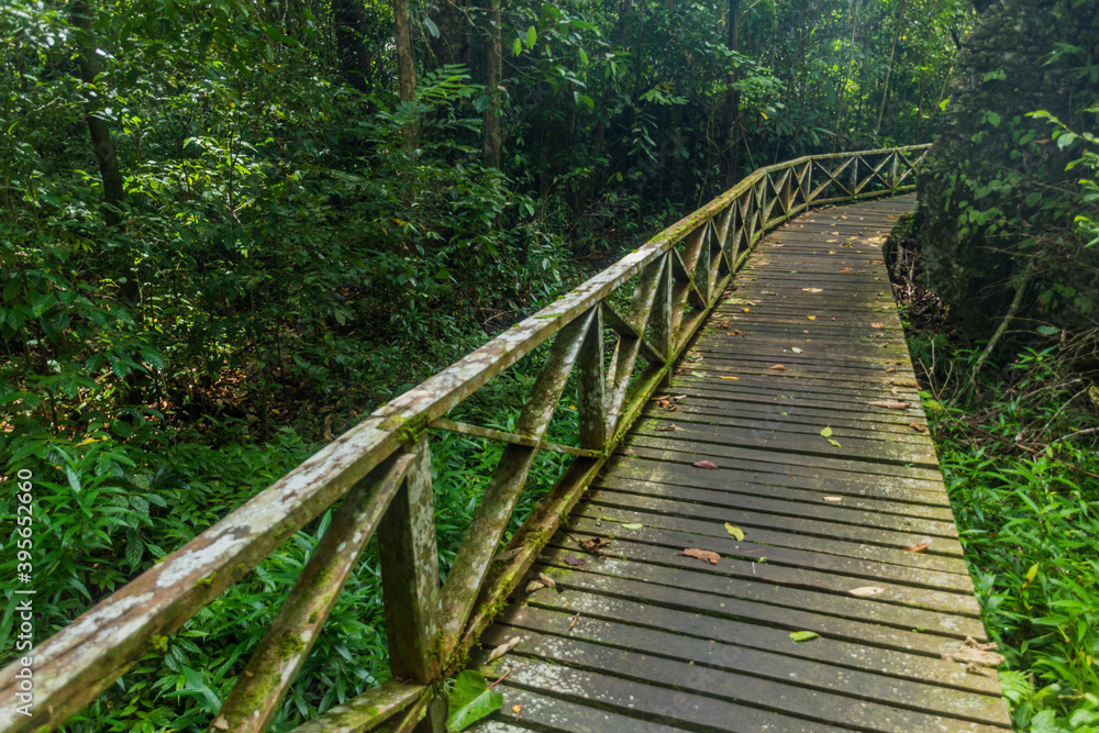Obraz premium Boardwalk in Niah national park on Borneo island, Malaysia