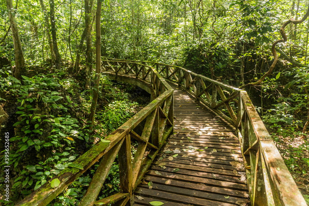 Fototapeta premium Boardwalk in Niah national park on Borneo island, Malaysia