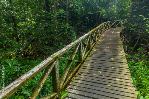 Boardwalk in Niah national park on Borneo island  Malaysia