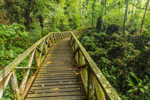 Boardwalk in Niah national park on Borneo island  Malaysia