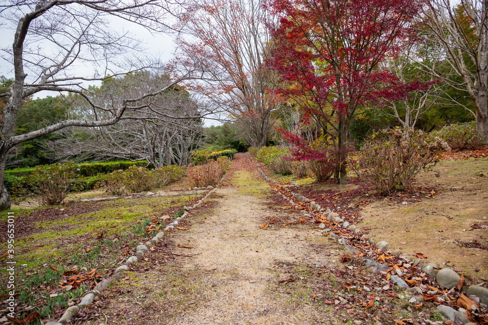 Path in autumn , Takamatsu city, kagawa, shikoku, japan Path in autumn , Takamatsu city, kagawa, shikoku, japan