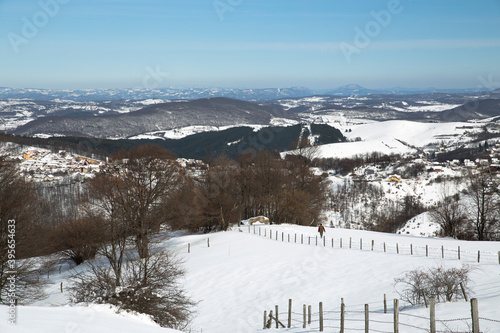 Winter landscape  hills covered in snow of Zlatibor mountain Serbia  Balkans Eastern Europe.