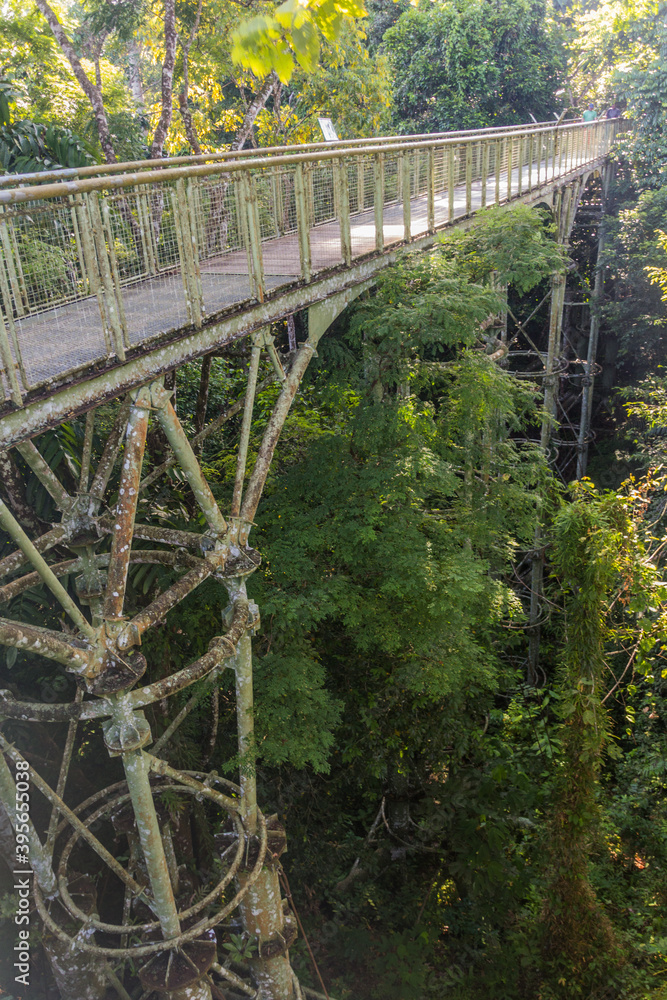 Canopy observation bridge in Rainforest Discovery Centre in Sepilok, Sabah, Malaysia Canopy observation bridge in Rainforest Discovery Centre in Sepilok, Sabah, Malaysia