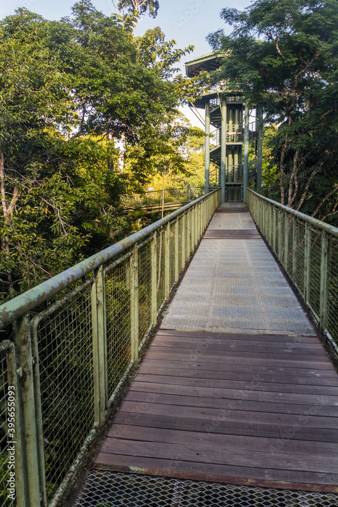 Canopy observation tower in Rainforest Discovery Centre in Sepilok, Sabah, Malaysia