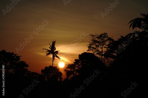 Sunrise and palm tree