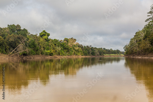 View of Kinabatangan river  Sabah  Malaysia