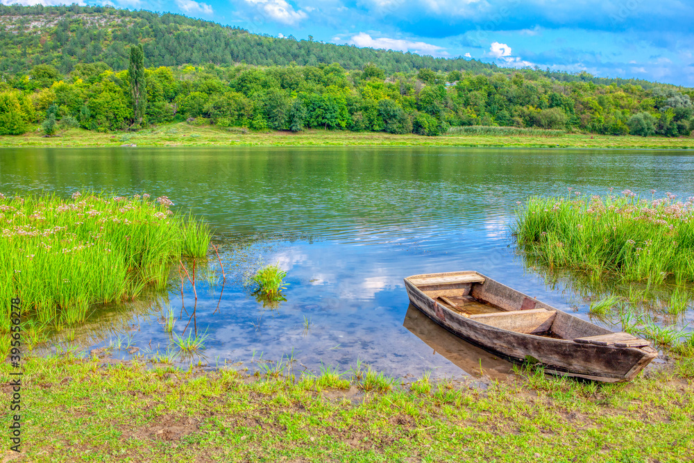 Idyllic green scenery with wooden boat . Spectacular riverside nature 