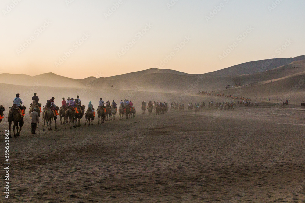 DUNHUANG, CHINA - AUGUST 21, 2018: Tourists ride camels at Singing Sands Dune near Dunhuang, Gansu Province, China