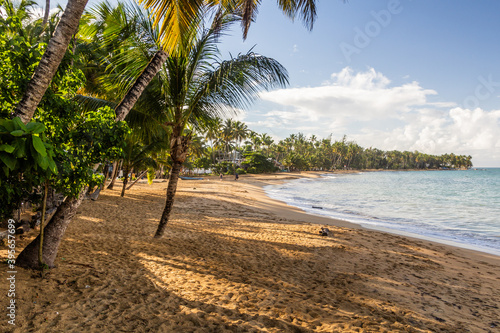 Beach in Las Terrenas, Dominican Republic