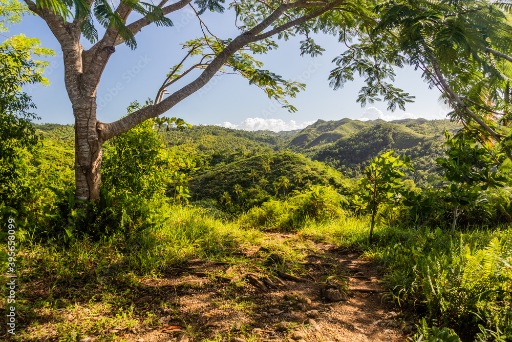 Hiking trail to El Limon waterfall, Dominican Republic