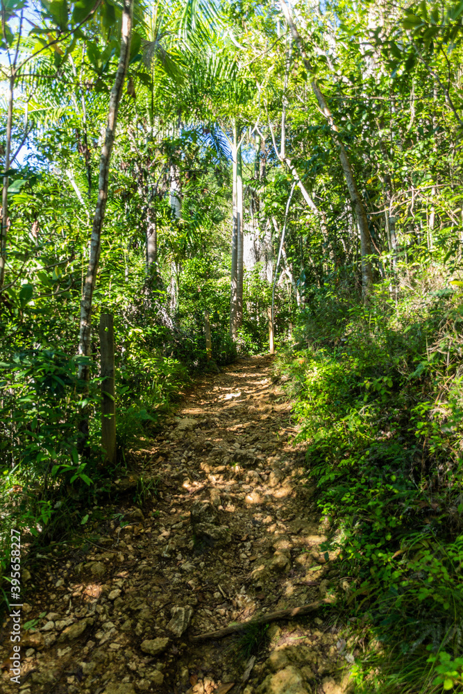 Hiking trail to El Limon waterfall, Dominican Republic Hiking trail to El Limon waterfall, Dominican Republic