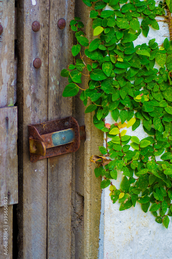 Close view of an old rusty lock on wooden gate Close view of an old rusty lock on wooden gate