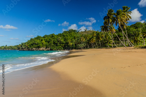 Beach in Las Galeras  Dominican Republic