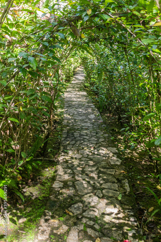 Path in Botanical gardens at the Pico Isabel de Torres mountain above Puerto Plata, Dominican Republic