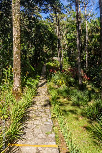 Botanical gardens at the Pico Isabel de Torres mountain above Puerto Plata  Dominican Republic