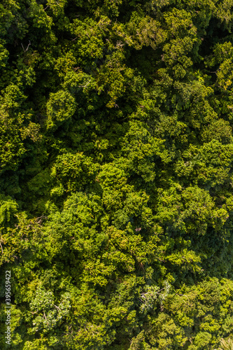 Aerial view of the forest of Isabel De Torres National Park near Puerto Plata, Dominican Republic