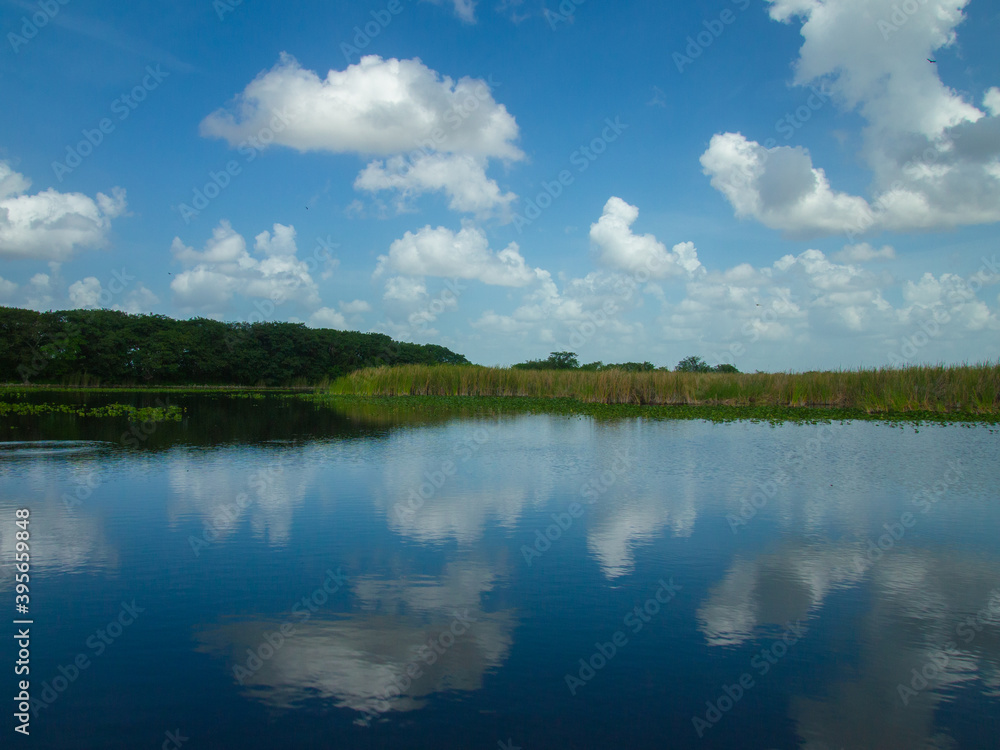 A Beautiful view of Everglades Swamp on Summer