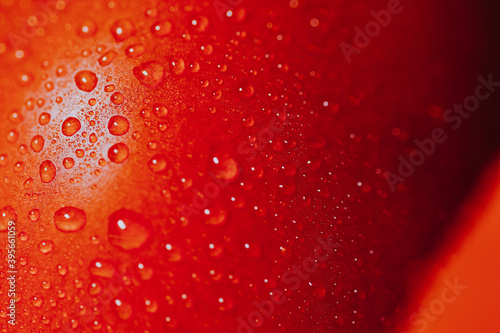 Macro shot of red tomato with water droplets on it © Diana Samson/Wirestock