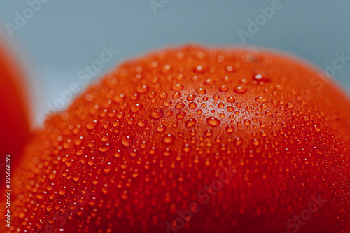 Closeup shot of red tomato with water droplets on it © Diana Samson/Wirestock
