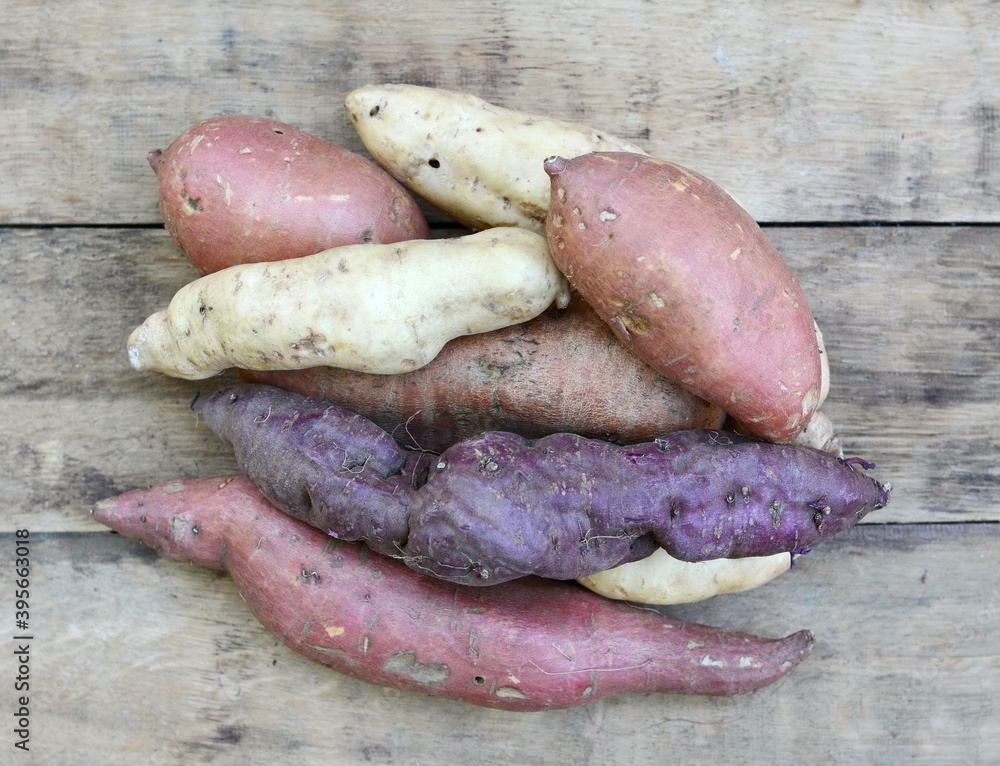 Sweet potatoes. Ipomoea batatas. Batata potato. Sweet potatoes. Ipomoea batatas. Batata potato.