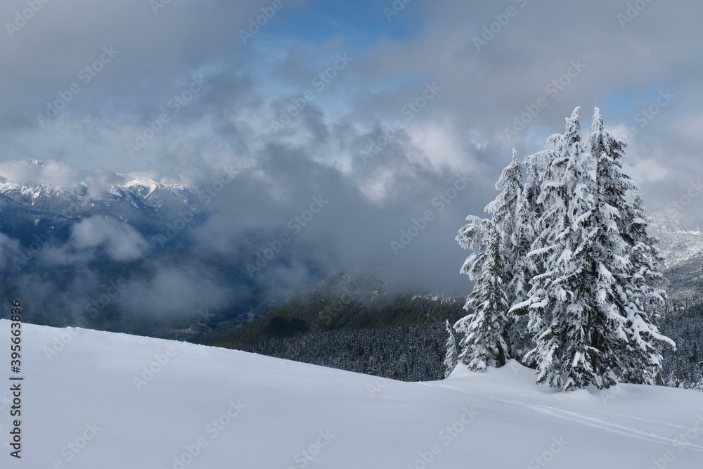 Winter landscape with mountains and trees covered with fresh snow.  Whistler. British Columbia. Canada