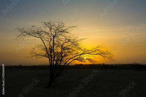Sunrise © Naushad