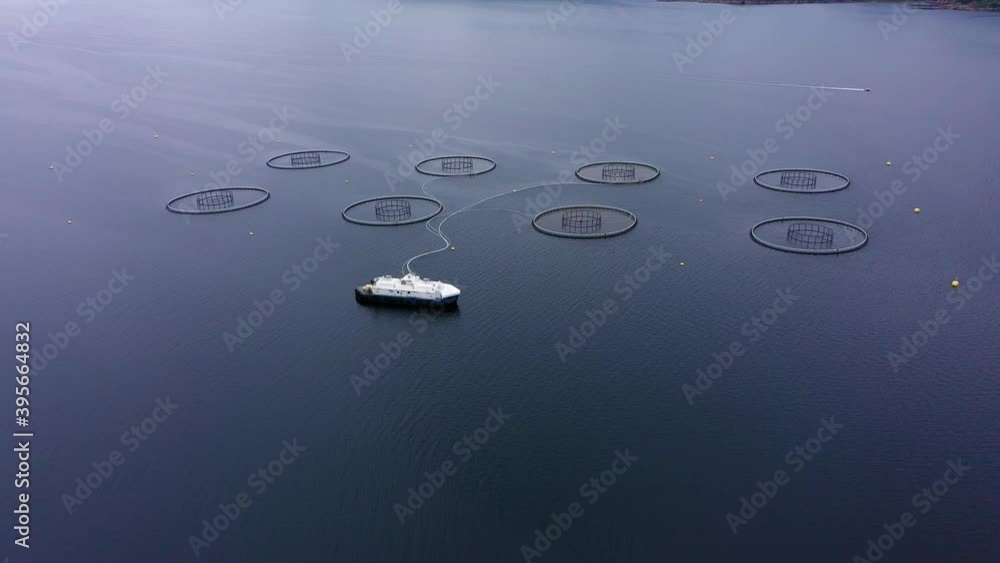 Aerial view away from a salmon farming, ship and cages, at the polar circle, in Lofoten, Norway - reverse, tilt up, drone shot Aerial view away from a salmon farming, ship and cages, at the polar circle, in Lofoten, Norway - reverse, tilt up, drone shot