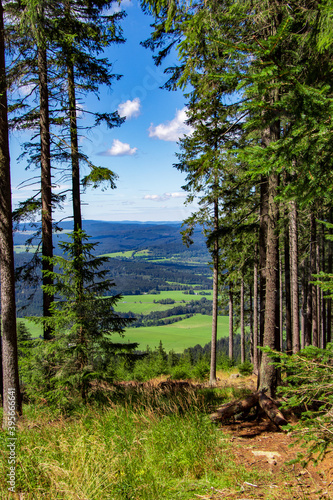 Fototapeta Naklejka Na Ścianę i Meble -  View of the Bohemian Forest mountains through the woods