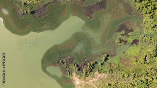 Wallpaper Mural swamp in the forest view from drone. wetland landscape. View of an impassable swamp from height. Aerial photography Wild forest landscape. Torontodigital.ca