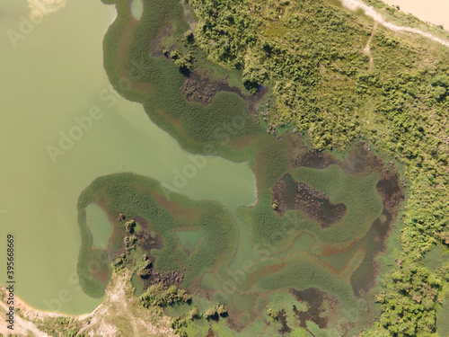 swamp in the forest view from drone. wetland landscape. View of an impassable swamp from height. Aerial photography Wild forest landscape.