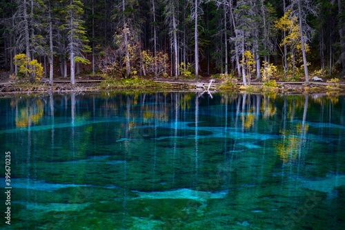 Colorful lake with autumn forest and reflectionas in Canadian Rockies. Grassi lakes near Canmore in Rocky Mountains. Alberta. Canada © aquamarine4
