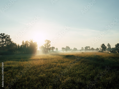 Morning atmosphere, a thin fog, the sun shines on the organic rice fields of farmers in Asia, reflecting the way of life of the local people.