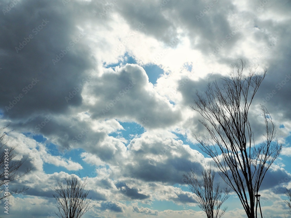 Fototapeta premium 雲がいっぱいの青空
