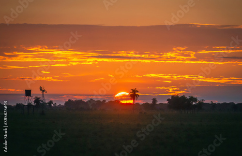el sol en un amanecer llanero en Colombia.