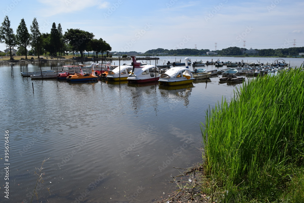 手賀沼（てがぬま）／ 千葉県北部にある手賀沼は、柏市、我孫子市、白井市、印西市にまたがる利根川水系の湖沼です。北の水域を手賀沼（上沼）、南の水域を下手賀沼（下沼）と言われています。