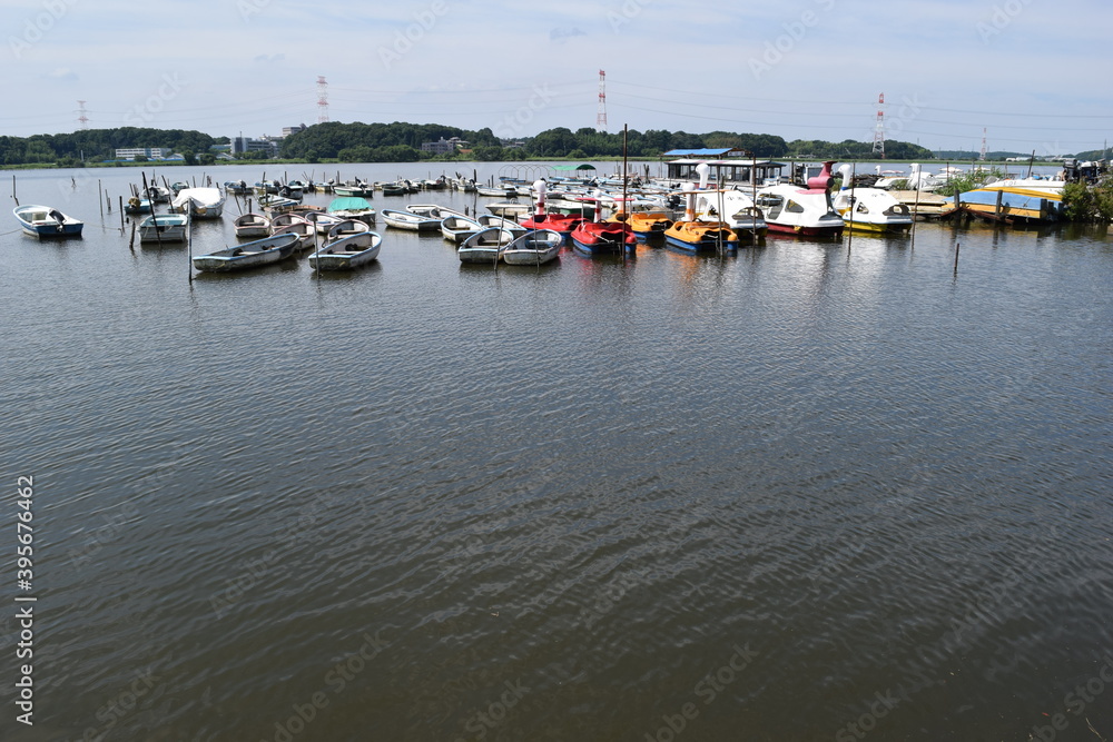 Fototapeta premium 手賀沼（てがぬま）／ 千葉県北部にある手賀沼は、柏市、我孫子市、白井市、印西市にまたがる利根川水系の湖沼です。北の水域を手賀沼（上沼）、南の水域を下手賀沼（下沼）と言われています。